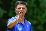 Rahul Dravid for Team India, Rahul Dravid latest breaking news, rahul dravid to lead team india as head coach, Bcci president